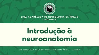 Introdução à Neuroanatomia parte 01  Aula 01 LANCC [upl. by Yrak]