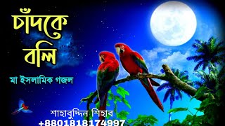 Ami Chand Ke Boli Tumi Sundor Na  আমি চাঁদকে বলি  Shahabuddin Shihab  শাহাবুদ্দিন শিহাব গজল [upl. by Yt232]