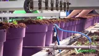 Visser Horti Systems  Pic O Mat Greenline for Pot Plants [upl. by Vasily784]