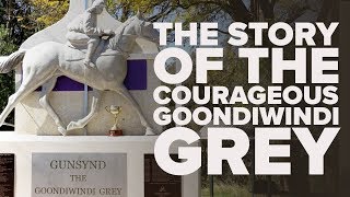 THE GOONDIWINDI GREY  Gunsynd [upl. by Assile]