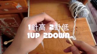 新手入門麻花頸巾 EASY CABLED SCARF 【星星★教學頻道】 [upl. by Newmark]