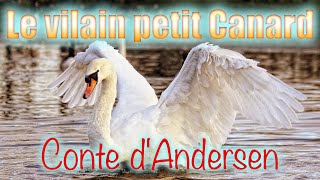 Le vilain petit Canard conte dAndersen [upl. by Naihtsirc]