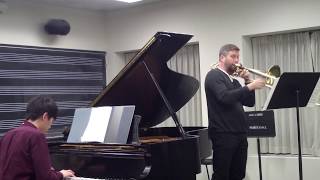 Pollard Lebedev Concerto in One movement reference video [upl. by Olympium]