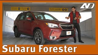 Subaru Forester  Maravillosa para los que logren comprenderla [upl. by Ahseram]