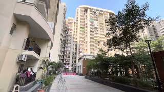 Golf Avenue 2 Sector 75  Flats For Rent in Sector 75  Flats For Sell in Noida [upl. by Carmen]