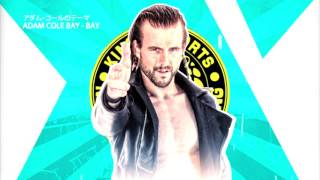 Adam Cole 1st NJPW theme  quotAdam Cole BayBayquot [upl. by Avlem99]