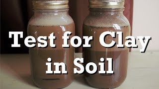 Test for Clay in Soil [upl. by Lilly672]