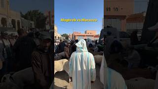 Maghreb VS MOROCCO 🇲🇦😂 morocco dimamaghrib travel [upl. by Shedd]