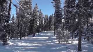 Cross country skiing  Engadin St Moritz Pontresina Samedan [upl. by Ettelra]