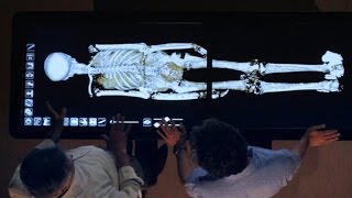 Revealed How King Tut Died [upl. by Ydwor]