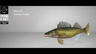 Fishing Planet  Emerald Lake  Trophy  Walleye  Float [upl. by Delacourt765]