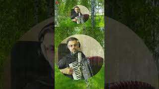 Rezerwa 2 wojsko akordeon polish rezerwa accordionmusic bossmusic shorts [upl. by Bartel701]