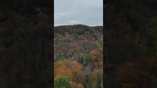 Beautiful views on Tarr Ridge redrivergorge getoutside hiking [upl. by Llewon562]