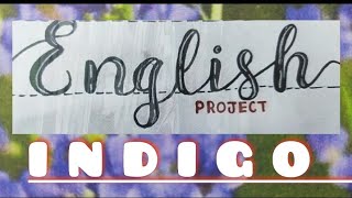 INDIGOClass 12th Englishproject file [upl. by Acassej]