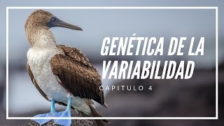 Genética de la variabilidad Filosfía de los Orígenes 4 [upl. by Herv]