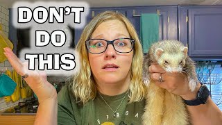 5 MISTAKES New Ferret Owners Make [upl. by Sadoc342]