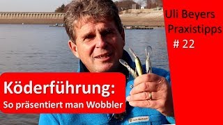 Köderführung für Wobbler [upl. by Susanetta189]