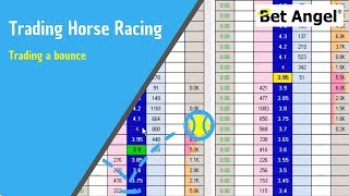 Betfair trading  Horse racing  Trading a bounce  Peter Webb [upl. by Irrek]