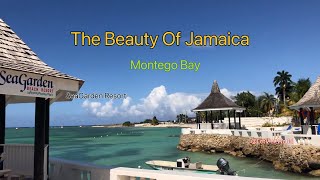 The Beauty of Jamaica  SeaGarden in Montego Bay letvisitworld [upl. by Anneehs]