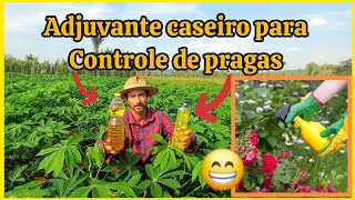 💡🍀Adjuvante caseiro para controle de pragas na horta pulgões mosca branca cochonilha etc [upl. by Ardni566]