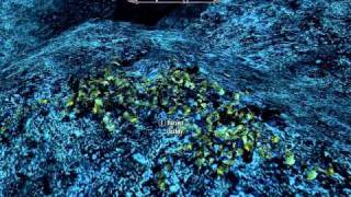 Find 20 Jazbay Grapes for Avrusa Sarethi  Sarethi Farm Misc Quest  Elder Scrolls 5 Skyrim [upl. by Salokcin402]