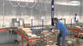 Vacuum Tube Lifter JumboFlex for Ergonomic Commissioning of Cardboard Boxes  25 kg  Schmalz [upl. by Edbert472]