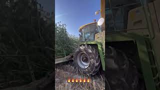 🔥 Powerful Forage Harvester in Action 🚜🌾 [upl. by Zetnod952]