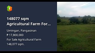 148077 sqm Agricultural Farm For Sale in Umingan Pangasinan [upl. by Virgilio]