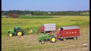 CORN SILAGE HARVEST 2020 near Louisville Ohio [upl. by Charmion]