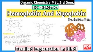 Hemoglobin And Myoglobin  Basic Concept  Structure And Functions  MSc3rd SemNotes  mscnotes [upl. by Henke]