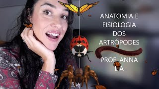 TERCEIRO ANO  ARTRÓPODES  ANATOMIA E FISIOLOGIA  PROF ANNA LIA [upl. by Ssidnak]