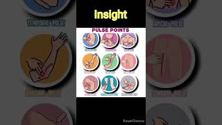 Different pulse point in Humans Insight Biologyanotomy [upl. by Ahseenat776]