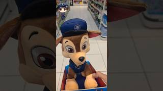 Patrulha canina muito fofos ❤️❤️ toys pawpatrol patrulhacanina [upl. by Trauner87]