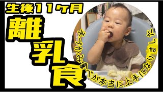 生後341日目夜ご飯【生後11ヶ月】【離乳食】 [upl. by Berglund]