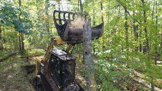 Youve never seen a FORESTRY MULCHER LIKE THIS Mulcher and Grapple in one [upl. by Enilarak]