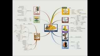 Mind Mapping How to Create a Mind Map in 4 Steps [upl. by Nauqyaj908]