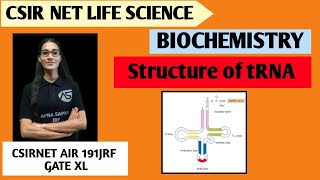 t RNA Structure  Biochemistry  apnasapnajrf csirnetlifescience [upl. by Ennyroc]