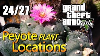 GTA 5  Peyote Plant Locations 2427 [upl. by Letsirk]