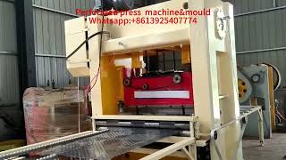 customized perforated press machine perforatedsheet perforated [upl. by Stevy]