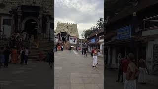 Mystery of Padmanabhaswamy Temple mystery treasure padmanabhaswamy amazingfacts [upl. by Terbecki698]