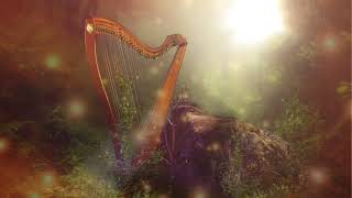 Wistful Harp  10 Hours [upl. by Krutz]