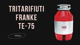 Tritarifiuti o Dissipatore Franke Te 75 [upl. by Richia136]