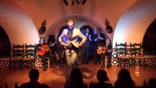 Flamenco Barcelona  Sergio Aranda TablaoCordobes 30615 I [upl. by Thorndike]