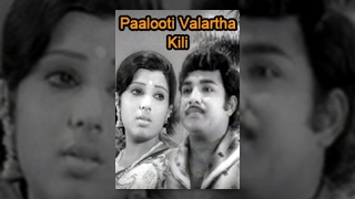 ஜோடிக்கிளி எங்கே சொல்லு சொல்லு Jodi Kili Enge Sollu Sollu Hd Video Songs Tamil Fil Songs [upl. by Akoek981]