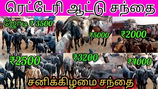 Redhills Goat Market  ரெட்டேரி ஆட்டு சந்தை  goat market ruthviktalks [upl. by Oicaro]