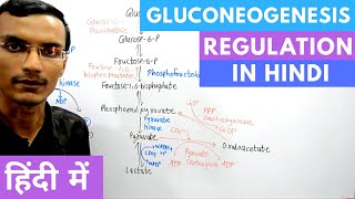 Regulation of Gluconeogenesis in Hindi [upl. by Tunk]