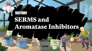 SERMs amp Aromatase Inhibitors in Cancer Treatment Part 1  Sketchy Medical  USMLE Step 1 [upl. by Annissa398]