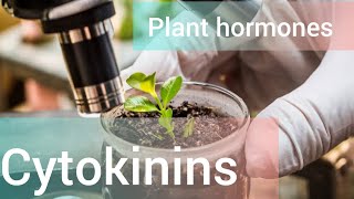 Cytokinins plant growth hormone [upl. by Naud9]