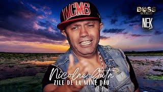 Nicolae Guta  Zile de la mine dau Videoclip [upl. by Alben809]