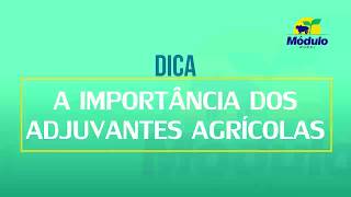 Adjuvantes Agricolas [upl. by Idak]